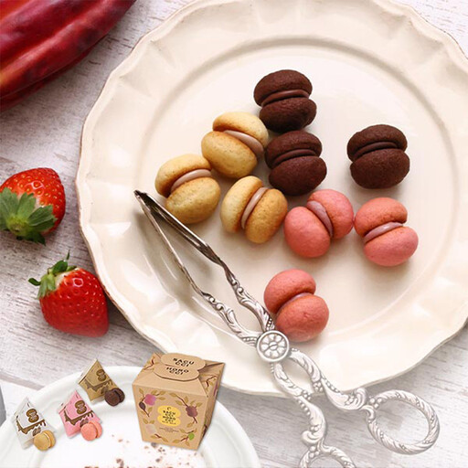 [西宮市の洋菓子][シーキューブ]サクッチ・ホロッチ 12個入 CSC-12RC 洋菓子