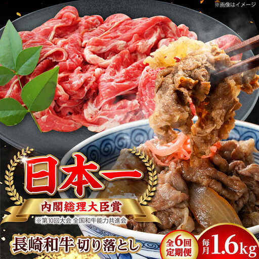 【全6回定期便】長崎和牛 切り落とし 総計9.6kg （約1.6kg/回）【ながさき西海農業協同組合】 [DBV036][DBV036]