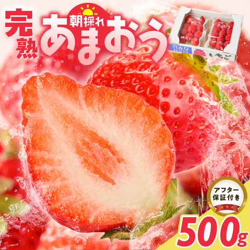 【2027年1月より順次発送】増永農園　福岡県産あまおう　250g×2パック_ あまおう いちご 〔Fi080-02〕