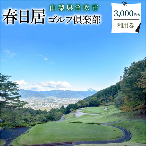 ゴルフ優待プレー補助利用券　3,000円 009-002