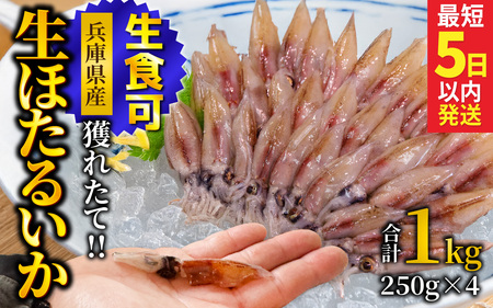 [生食可] 冷凍 生ほたるいか 1kg 小分け 250g×4パック / ほたるいか