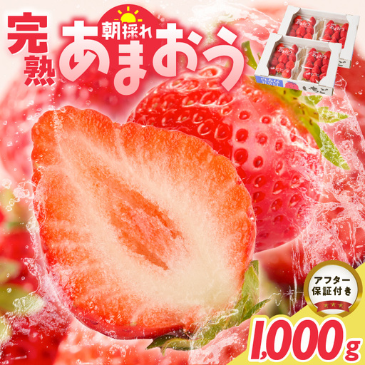 【2027年1月より順次発送】増永農園　福岡県産あまおう　250g×4パック _ あまおう いちご 〔Fi080-04〕