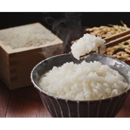 【令和8年産】信州八ヶ岳山麗 長野県産コシヒカリ 精米10kg(5kg×2袋)【1719523】