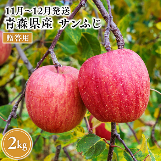 りんご 贈答用 サンふじ 約2kg[hi-0068-008]