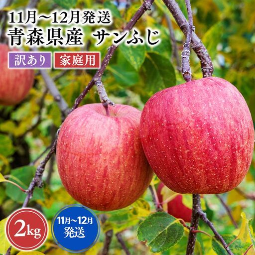 りんご　訳あり サンふじ 約2kg 青森県平川市産 FN-Limited-SP