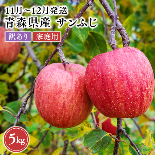 りんご 家庭用 サンふじ 約5kg【hi-0068-021】 