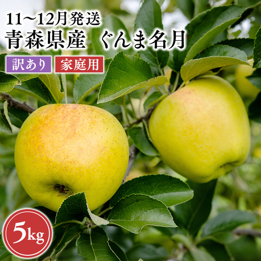 りんご 家庭用 ぐんま名月 約5kg りんご