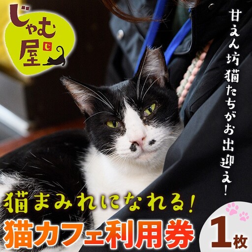 猫まみれになれる猫カフェチケット(1枚) チケット 猫 カフェ 体験 ネコ ねこ 保護 動物 カフェ利用 保護猫カフェ 利用券 優待券 触れ合い ふれあい 体験型 動物 癒し 写真撮影 好き [じゃむ屋]as15-003