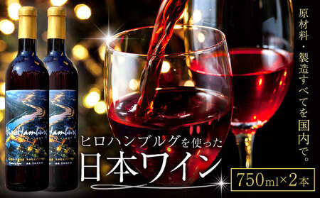 日本ワイン 750ml 2本[30日以内に出荷予定(土日祝除く)] ワイン