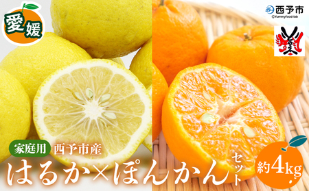 ＜愛媛西予市産 はるか・ぽんかんセット 家庭用 約4kg＞柑橘 果物 フルーツ ポンカン ミカン みかん オレンジ 特産品 渡江から一歩を踏み出す会 食べて応援 特産品 愛媛県 西予市 【常温】『2027年3月以降順次出荷予定』ATI0043