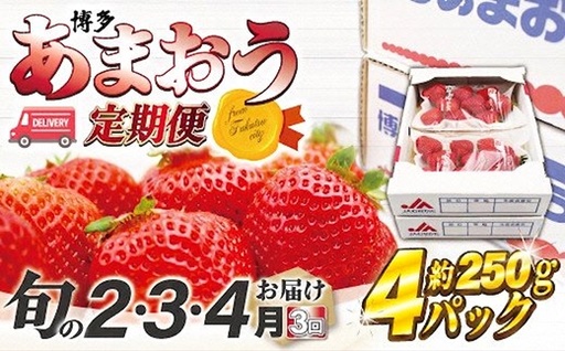 [2027年2〜4月発送]博多あまおう4パック3回定期便 約1kg×3回[H5342]