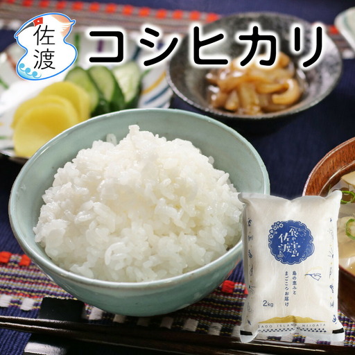 佐渡島産コシヒカリ 無洗米2kg（2kg×1袋） 農薬・化学肥料5割減【食の宝島佐渡】