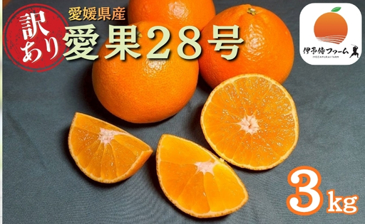 [2026年先行予約]みかん 訳あり 愛果28号 紅まどんなと同一品種 3kg サイズミックス ご家庭用 [12月から順次発送予定] 愛媛 人気 数量限定 柑橘 伊予侍ファーム 伊予市|