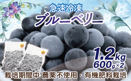 急速冷凍!栽培期間中農薬不使用ブルーベリー600g×2パック 計1.2kg[H4005]