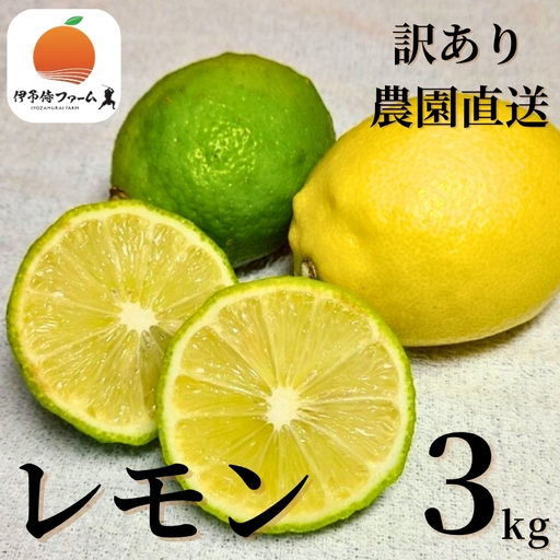 【2026年10月より順次発送】レモン 3kg ご家庭用 バラ詰め｜B459