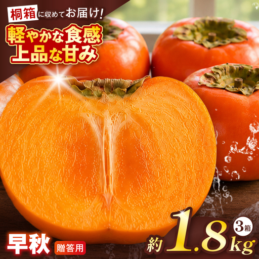 【贈答用・桐箱】 早秋 柿 ( 6個 / 1.8kg ) 3箱 先行予約 令和8年10月中旬順次発送 | さのっち農園
