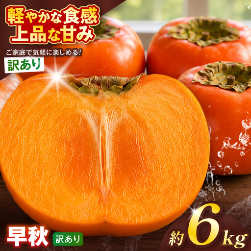【訳あり品】 早秋 柿 28個／6kg ( 1箱 ) 先行予約 令和8年10月中旬順次発送 | さのっち農園
