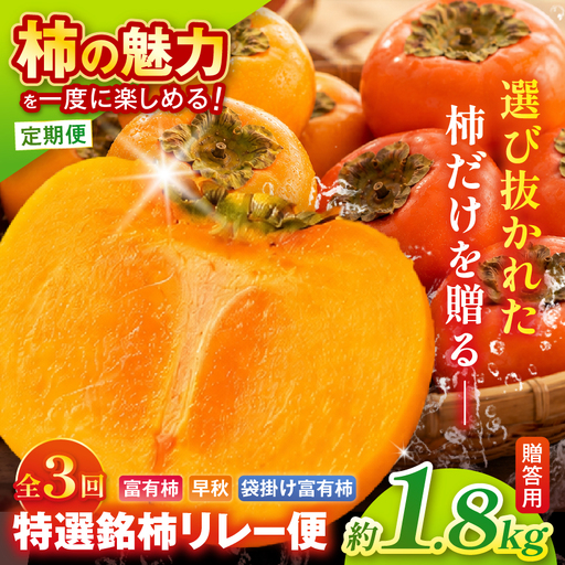 [定期便 3回]特選 銘柿リレー便 贈答用 早秋 富有柿 ( 各7個 / 1.8kg )| さのっち農園