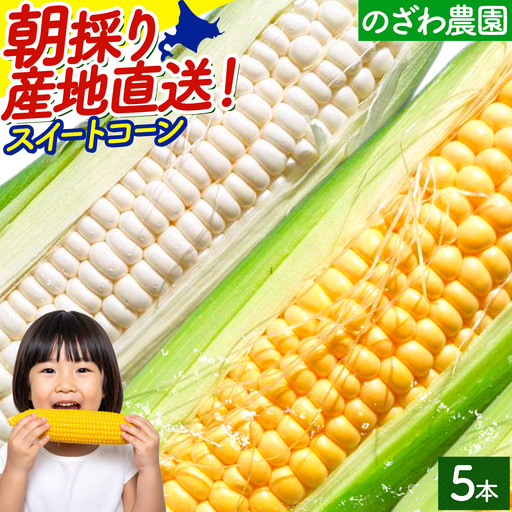 [先行予約]とうもろこし スイートコーン 約5本 2kg のざわ農園 [2026年8月上旬-9月中旬頃出荷]