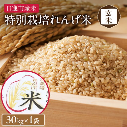 玄米 【玄米】特別栽培れんげ米 日進市産米 30kg×1袋  米 コメ お米 あいちのかおり 特別栽培米 れんげ草 日進市 愛知県