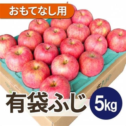 【先行受付】青森県産りんご 平均糖度13度以上! 有袋ふじ 約5kg おもてなし用【配送不可地域：離島・沖縄県】【1707175】