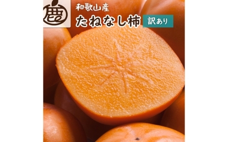 たねなし 柿 家庭用 訳あり 2.5kg【刀根早生・平核無柿（ひらたねなしかき）】 ｜ 柿