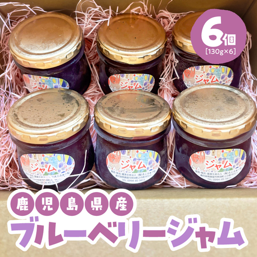 ブルーベリー ジャム KN106-002 無添加 加工食品 フルーツ