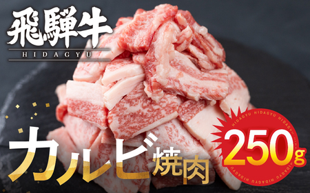 【訳あり 不揃い】飛騨牛 カルビ 焼肉用 250g