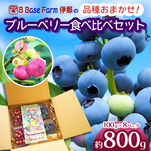 ブルーベリー 食べ比べ 品種 お任せ 100g×8パック 【014-57】