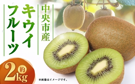 中央市産 キウイフルーツ ( ヘイワード ) 約2kg [2026年12月下旬発送予定] フルーツ 果物 くだもの 食物繊維 朝ごはん 朝食 キウイ キゥイ