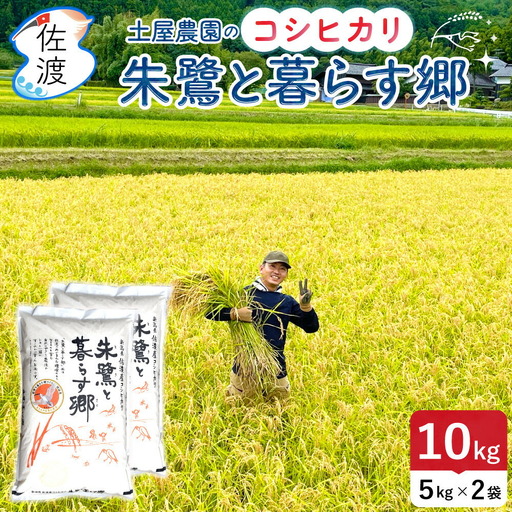 コシヒカリ 令和7年 白米 10kg お米 コシヒカリ | 朱鷺と暮らす郷 新潟県 佐渡市 195962-0114