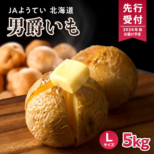 【2026年秋発送 先行予約】じゃがいも 馬鈴薯（男爵）Ｌサイズ　5kｇ＜JAようてい＞