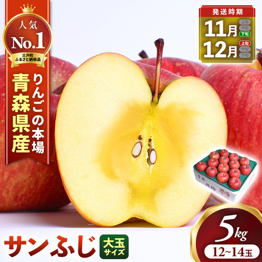 青森県産りんご 大玉 サンふじ 約5kg 11月下旬〜 りんご