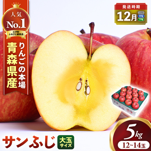 青森県産りんご 大玉 サンふじ 約5kg 12月中旬～ りんご