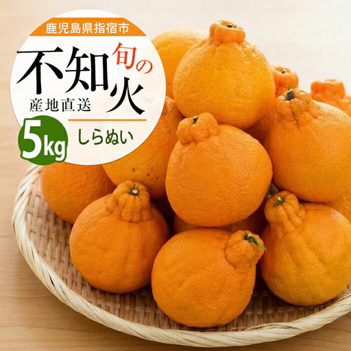 不知火 約5kg みかん フルーツ しらぬい IB064-006