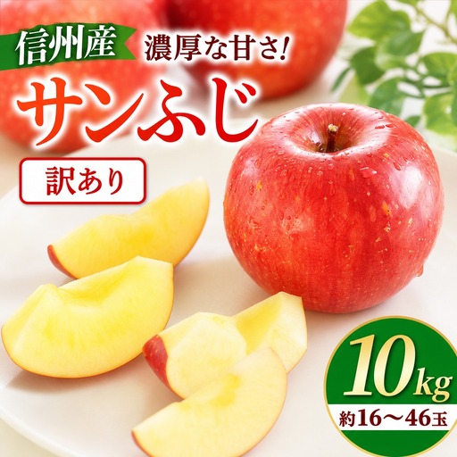 【先行予約】※訳あり※ りんご　サンふじ　約10kg　＜2027年1月上旬～2月上旬発送予定＞　リンゴ｜長野県産｜果物｜くだもの