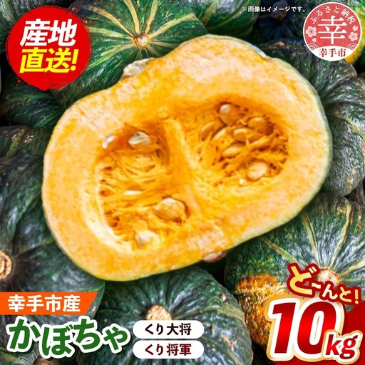 【きあり農園】2026年度 幸手市産 かぼちゃ 約10kg - カボチャ 南瓜 くり大将 くり将軍 産地直送