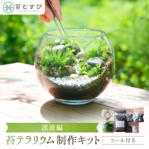 【渓流編】苔テラリウム制作キット（ツール付き）
