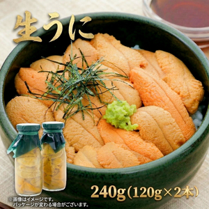 【今が旬】 生うに 240g(120g×2本) 冷蔵
