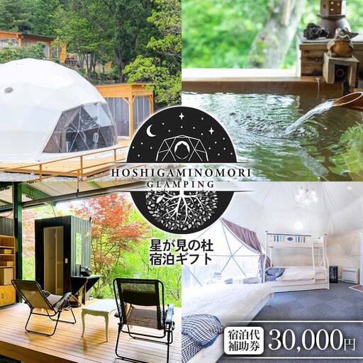 星が見の杜宿泊ギフト 宿泊代補助券（30,000円） F4N-2749