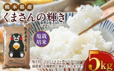 [ 令和7年度産 ] 熊本県産塩栽培米くまさんの輝き 5kg 国産 熊本県産 お米 米 コメ ご飯 白米 くまさんの輝き 塩栽培米 塩栽培 [ 2025年12月上旬発送開始 ]