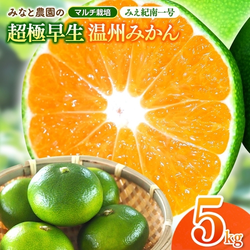 みかん みえ紀南一号 超極早生みかん 約5kg[mntf0001]