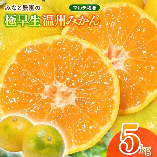 みかん 極早生温州みかん 約5kg マルチ栽培[mntf0003]