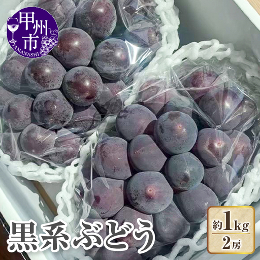 【クール配送】山梨県産黒系ぶどう2房（約1kg）【2026年発送】（KFT）B11-1812 黒ぶどう フルーツ