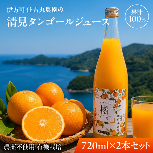 清見タンゴールジュース 720ml×2本 IKTBN001
