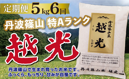 定期便 お米 特A コシヒカリ【 5kg 6回 】定期便
