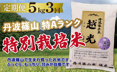 定期便 コシヒカリ 特別栽培米 【 5kg 3回 】定期便