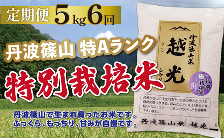 定期便 コシヒカリ 特別栽培米【 5kg 6回 】定期便