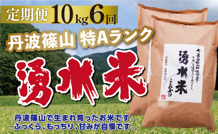 定期便 お米 特A 湧水米コシヒカリ【 10kg 6回 】定期便