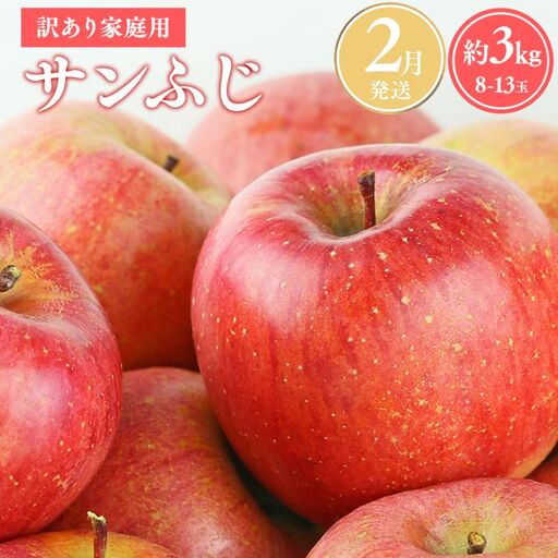 りんご 家庭用 サンふじ約3kg  [hi-0038-001-2]